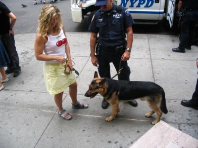 New York Police Canine Unit 2005